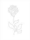 One line art rose flower vector outline illustration.